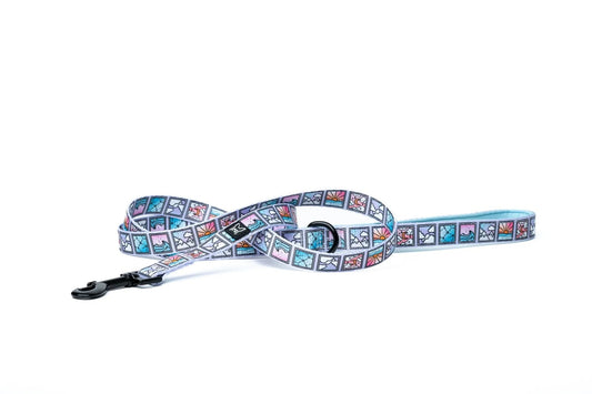 Sky - Laisse - Maître Animalier