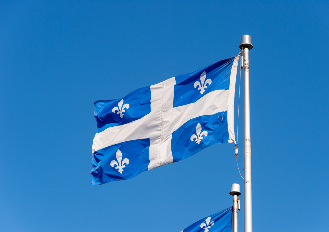 Drapeau du Québec représentant l’origine locale des produits pour animaux présentés dans l’article