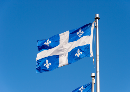 Drapeau du Québec représentant l’origine locale des produits pour animaux présentés dans l’article