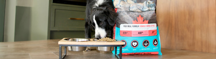 Nourriture pour chiens