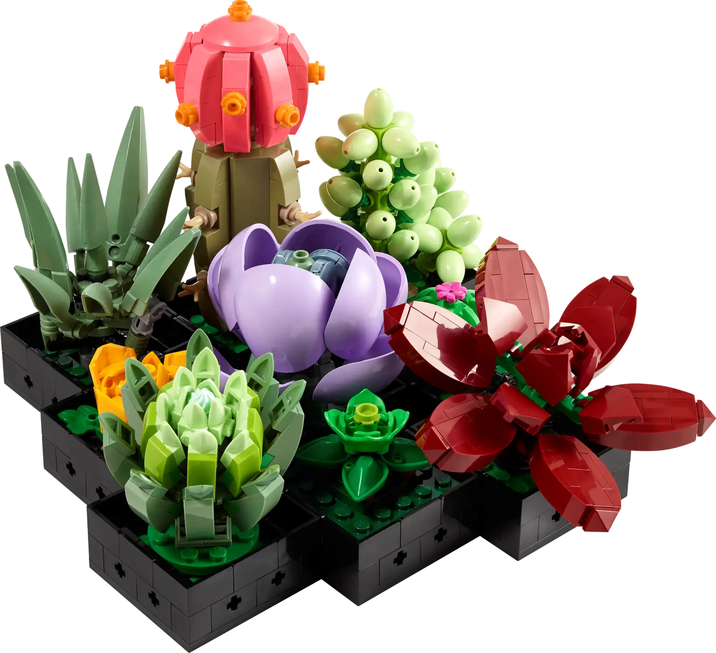 LEGO Botanique - Les succulentes, 10309