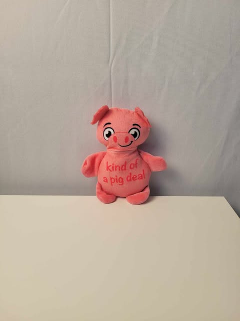 Jouet pour chien - Cochon rose