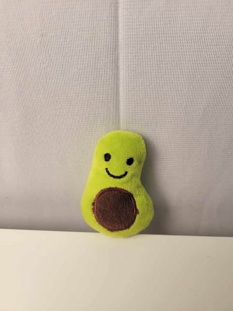 Peluche pour chat - Mini avocat