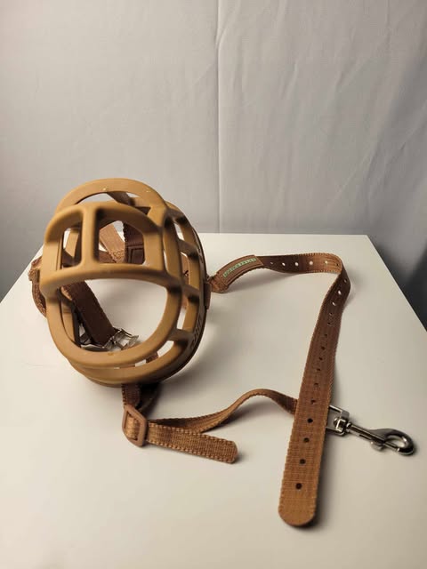Muselière pour chien