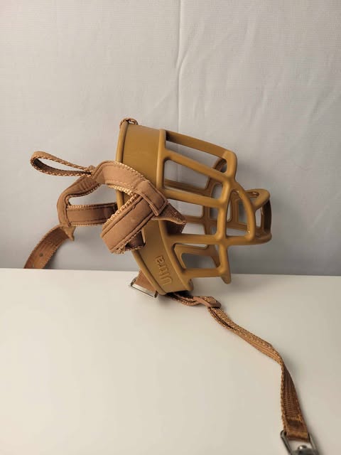 Muselière pour chien