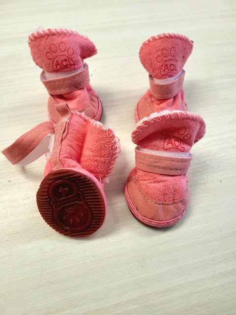 Petite botte rose pour chien