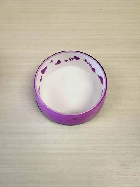 Petit bol mauve pour chat