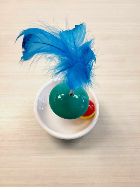Jouets pour chat - Balle + rond