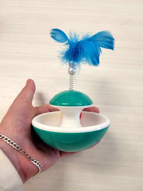 Jouets pour chat - Balle + rond