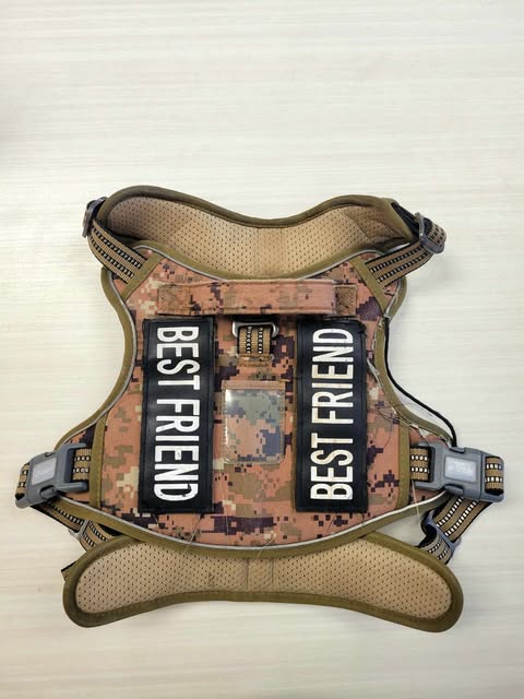 harnais pour chien - Militaire
