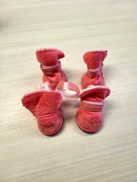 Petite botte rose pour chien