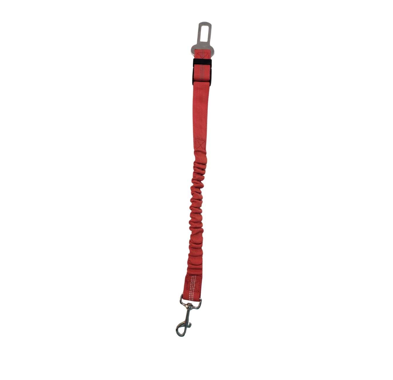 Ceinture à bungee pour chien