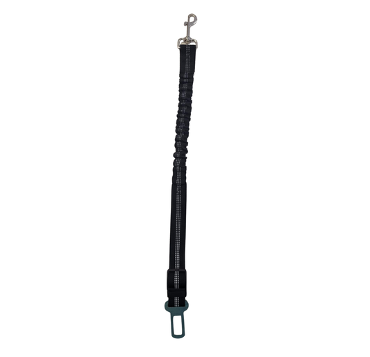 Ceinture à bungee pour chien