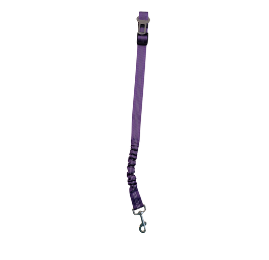 Ceinture à bungee pour chien