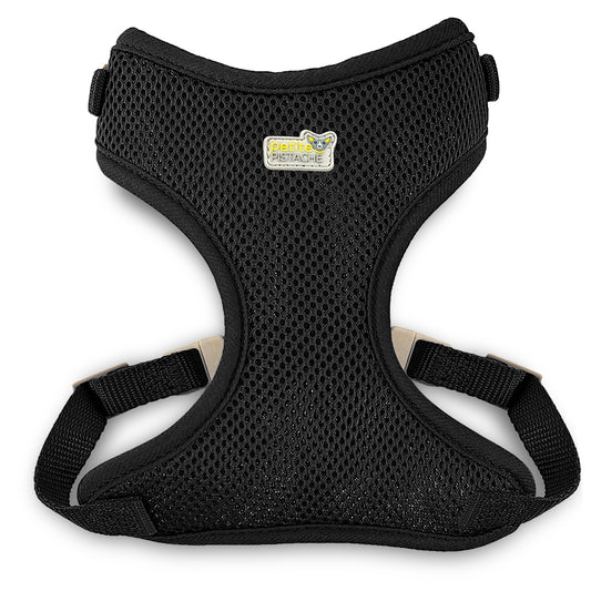 Petite Pistache, Harnais Noir Pour Petits Chiens