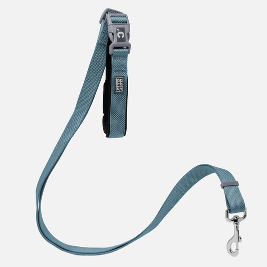 Laisse pour chien réglable en 5 directions - Bleu