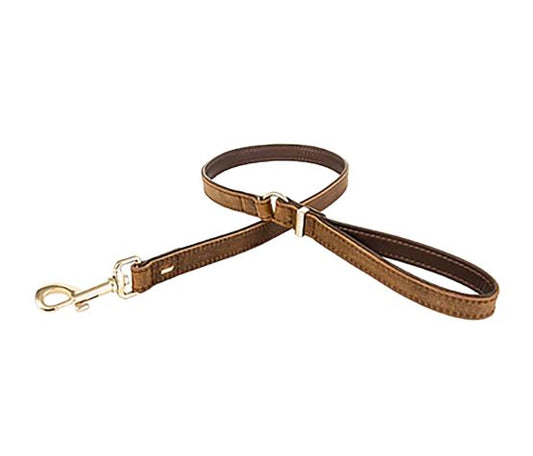 Laisse Oxford En Cuir, 42" - Brun