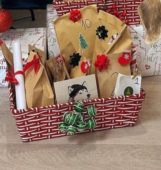Calendrier de l’avent pour chien ou chat