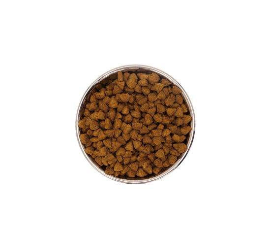 Nourriture Pour Chat & Chaton, Tout Stade De Vie - Chat D'intérieur, Poulet Et Poisson