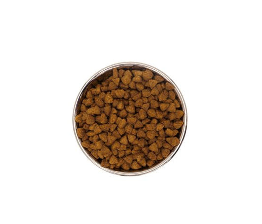 Nourriture Pour Chat & Chaton, Tout Stade De Vie - Chat D'intérieur, Poulet Et Poisson