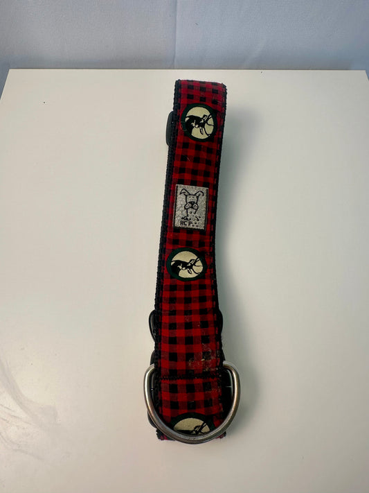 Grand collier pour chien
