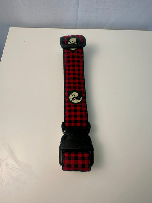 Grand collier pour chien