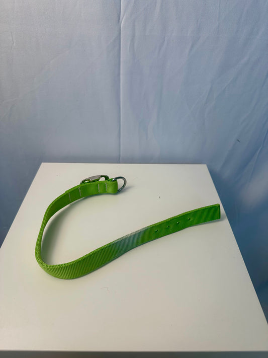 Collier pour chien Vert