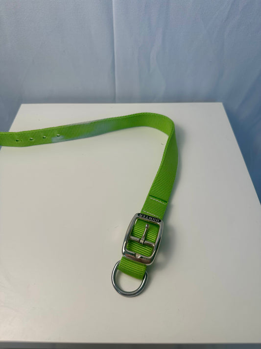 Collier pour chien Vert