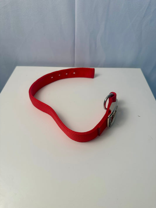 Collier pour chien rouge