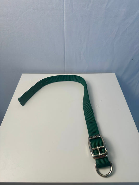 Collier pour chiens vert