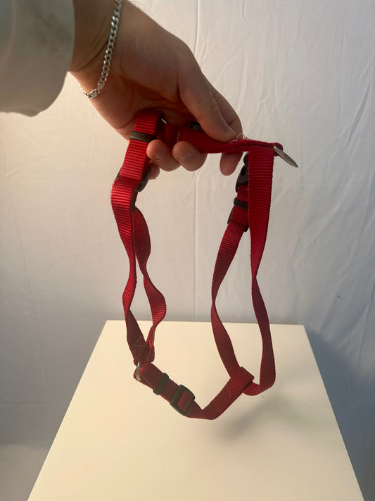 Harnais pour chien - Rouge