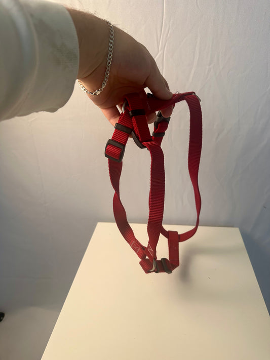 Harnais pour chien - Rouge