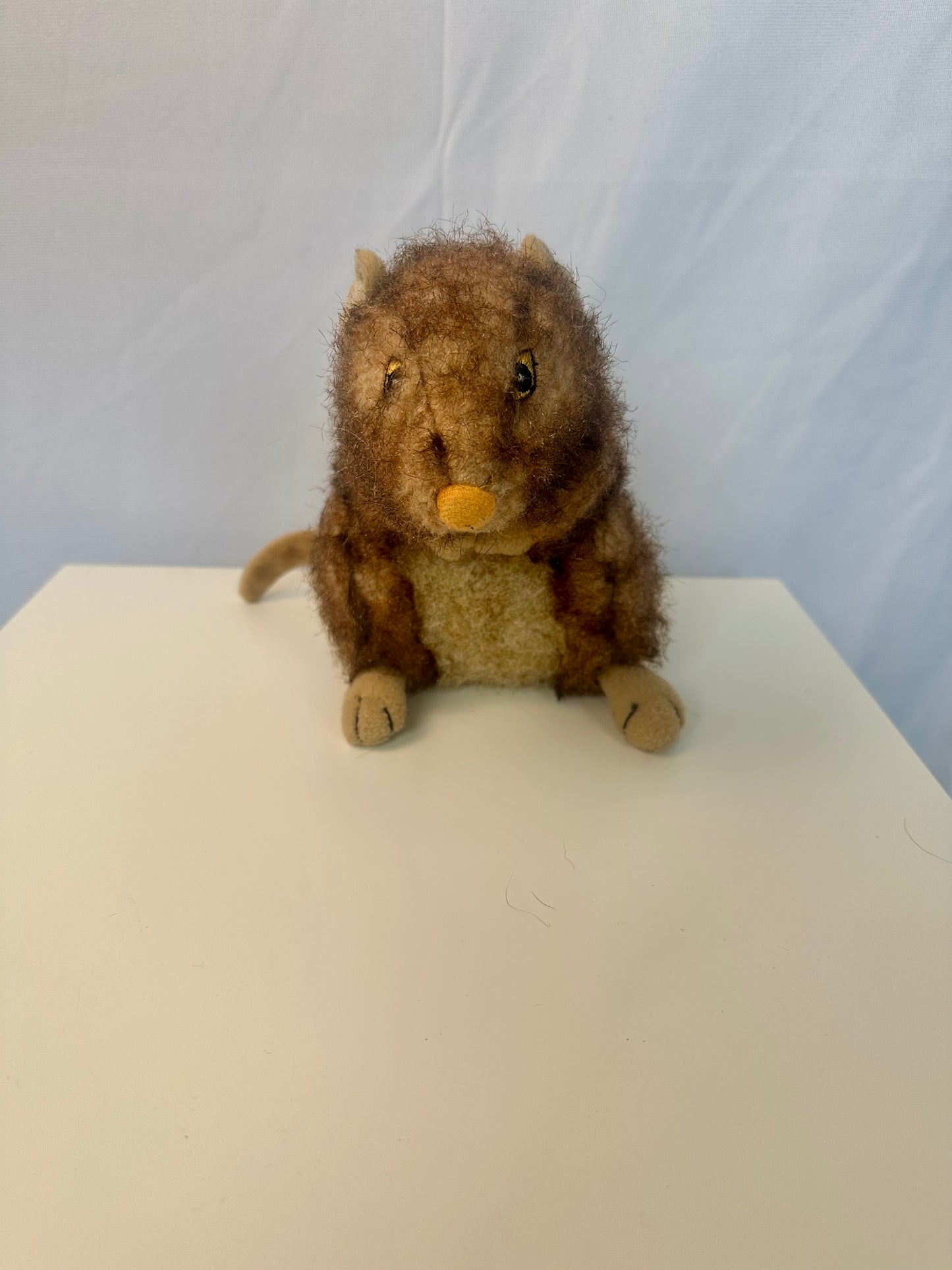 Jouet pour chien - Marmotte