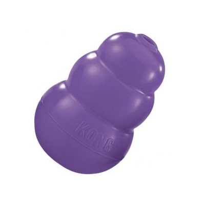 KONG Classic Pour Sénior