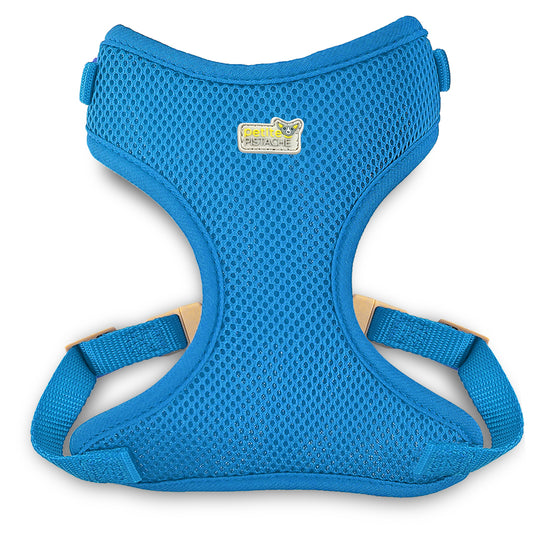 Petite Pistache, Harnais Bleu Clair Pour Petits Chiens