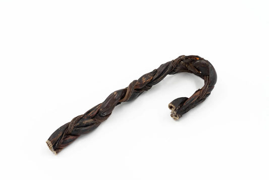Oesophage de boeuf en forme de canne