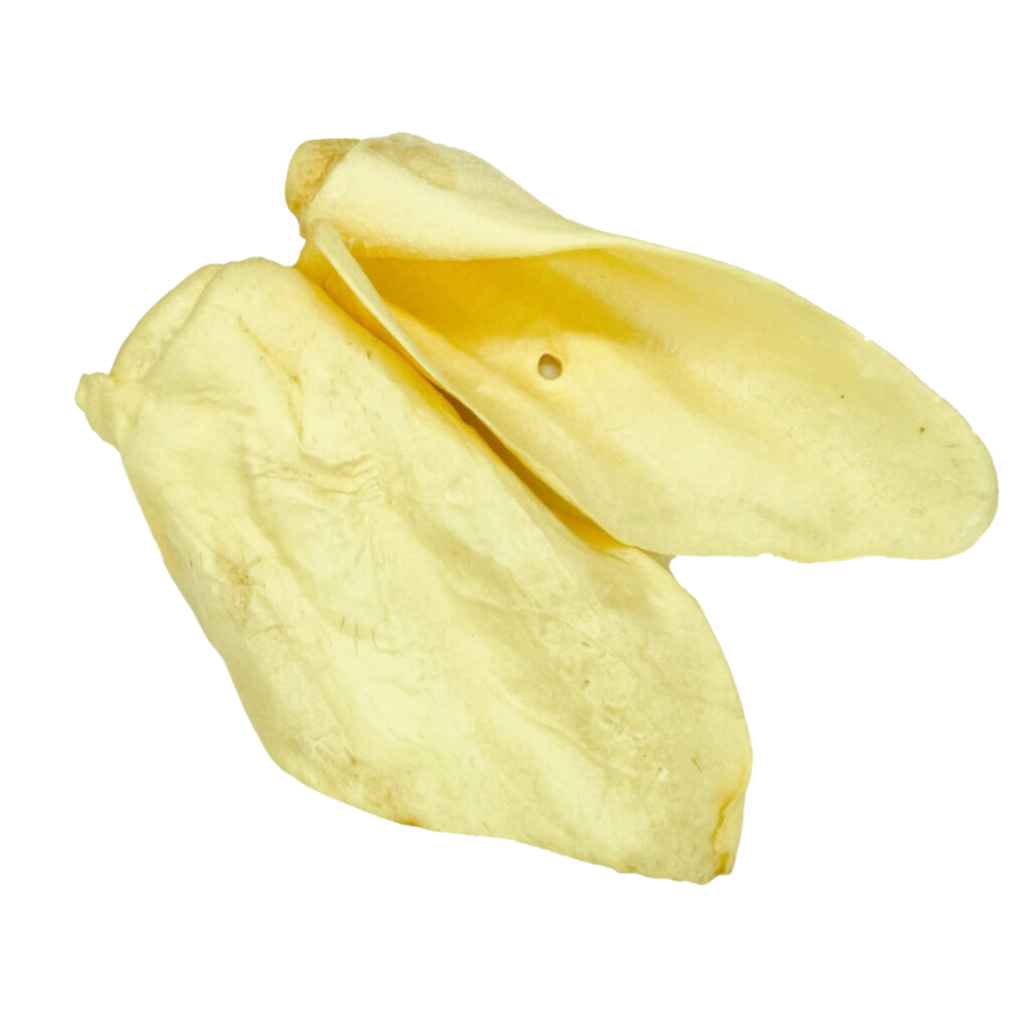 Oreille de bœuf naturelle soufflée