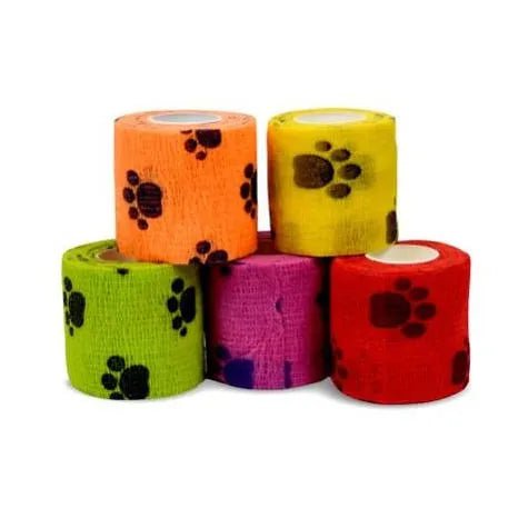 Bandages Cohésifs Dessins Imprimés Assortis (4 X 2") - Maître Animalier