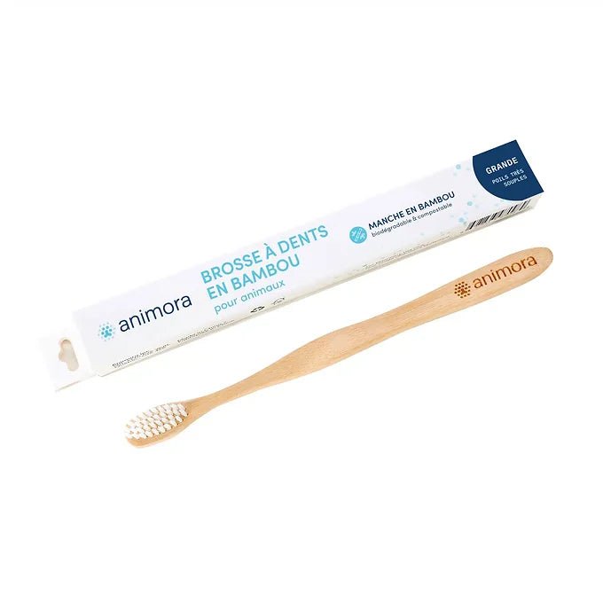 Brosse à dents en bambou - Maître Animalier