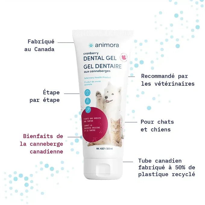 Gel dentaire aux canneberges - Maître Animalier