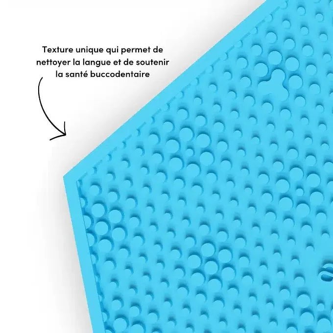 Tapis de léchage dentaire - Maître Animalier