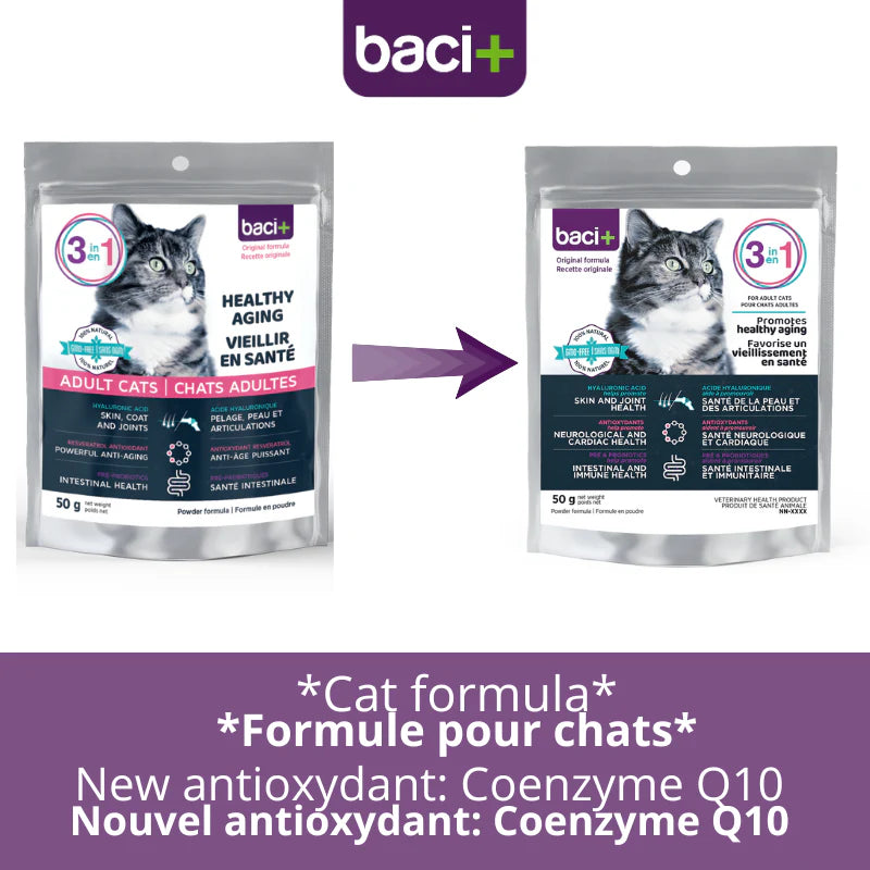 Baci + supplément pour chat / santé articulaire • santé intestinale • santé cardiaque |