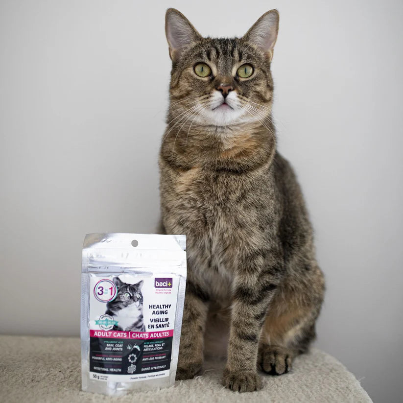 Baci + supplément pour chat / santé articulaire • santé intestinale • santé cardiaque |