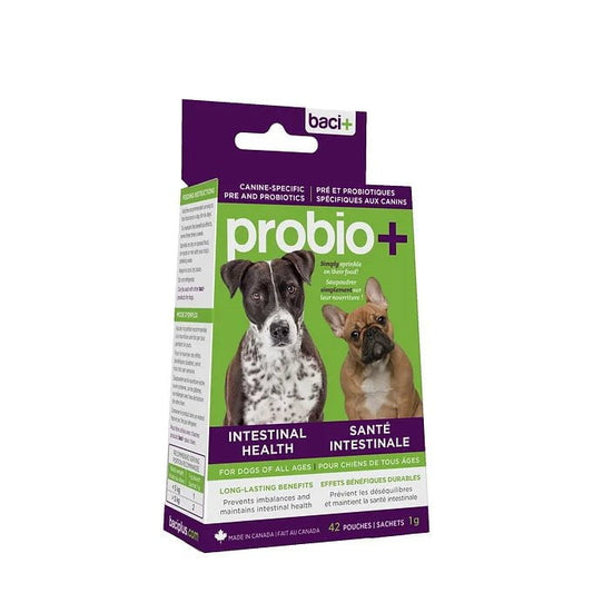 Pré et probiotique pour chiens - Maître Animalier