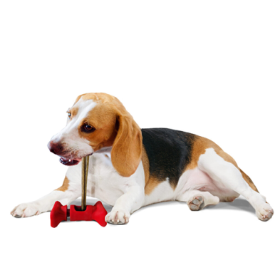 Porte-mastication pour chiens Spot®