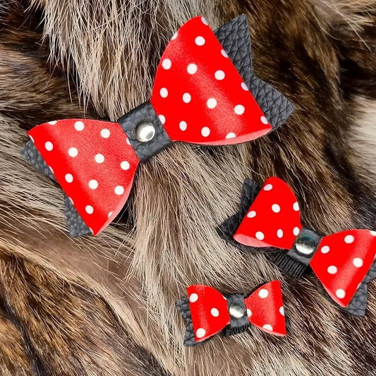 Boucles - Mimie - Maître Animalier