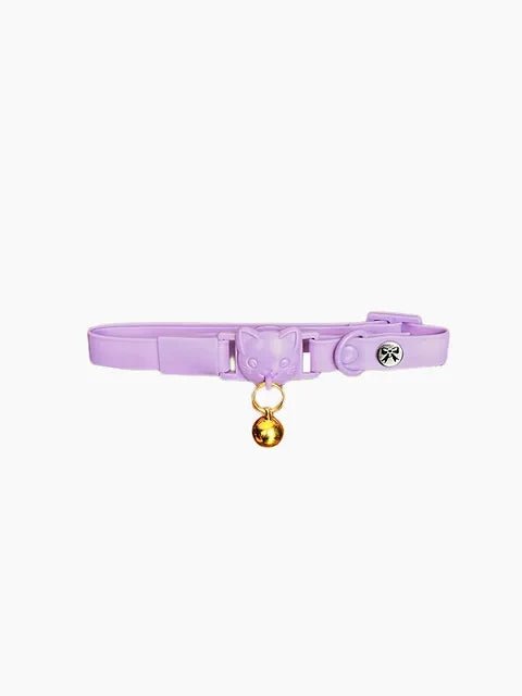 Collier en biothane pour chat - Mauve - Maître Animalier