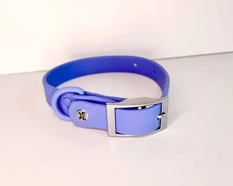 Collier en biothane pour chien - Bleu - Maître Animalier