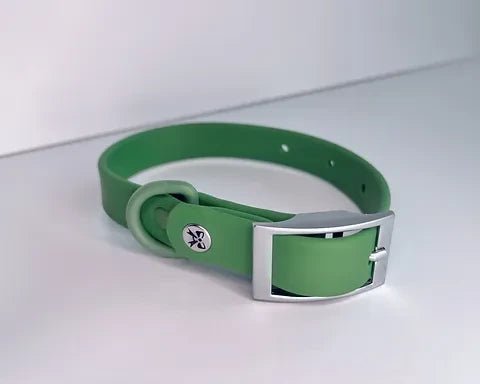 Collier en biothane pour chien - Vert - Maître Animalier