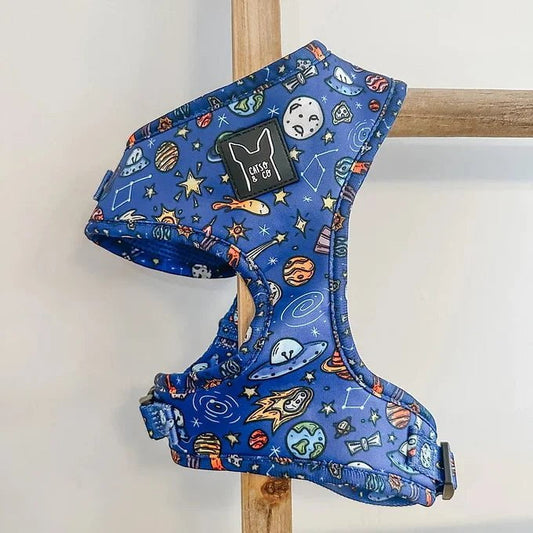 GALAXY - Harnais ajustable - Maître Animalier